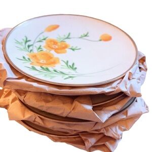 10 Extremely Rare Luncheon Plates HAND PAINTED MADE IN JAPAN California Poppy